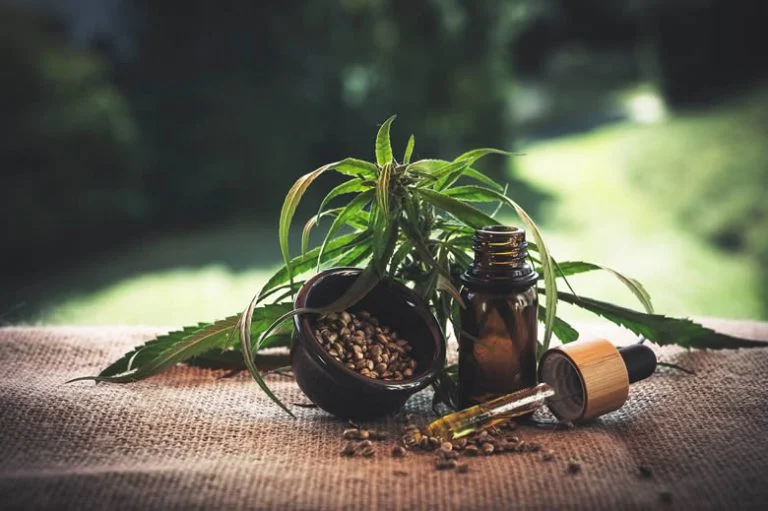 Small bottle with dropper in front of a small plant.
