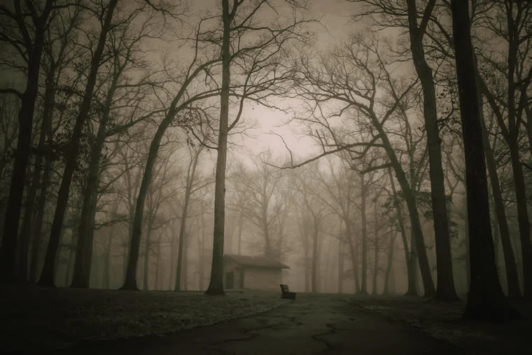 Haunted House In The Woods
