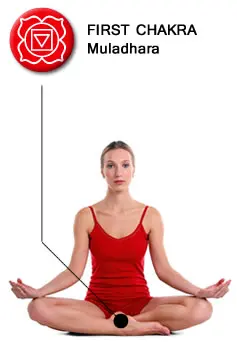 root-chakra-location-diagram