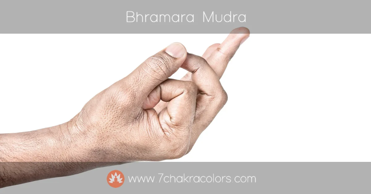 image of hand performing bhramara mudra hand pose - instructional image - featured canvas image