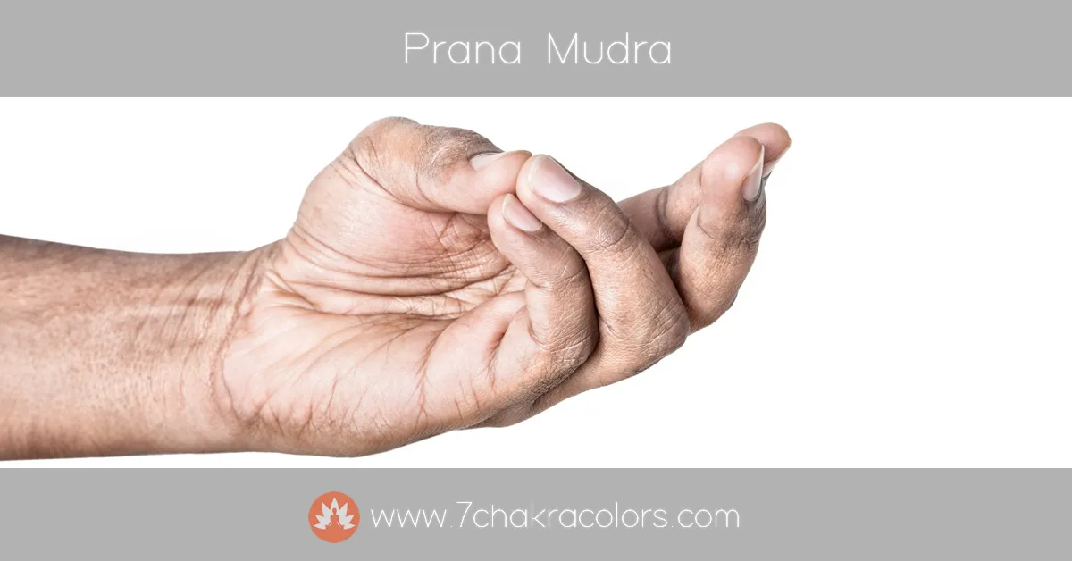 image of hand performing prana mudra hand pose - instructional image - featured canvas image