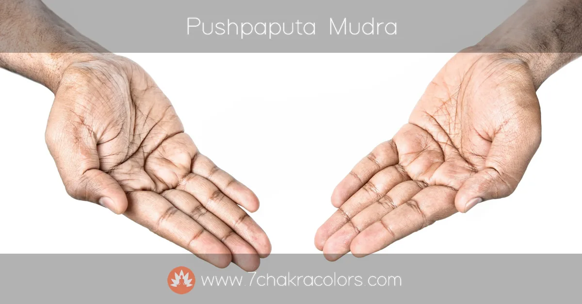 image of hand performing pushpaputa mudra hand pose - instructional image - featured canvas image
