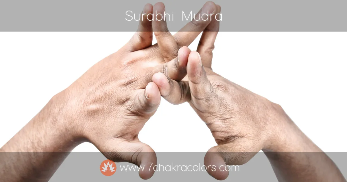 image of hand performing surabhi mudra hand pose - instructional image - featured canvas image