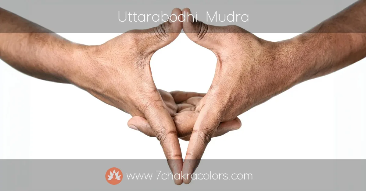 image of hand performing uttarabodhi mudra hand pose - instructional image - featured canvas image