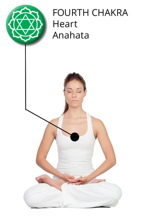 diagram showing a woman sitting in lotus pose with indication of the location of heart chakra