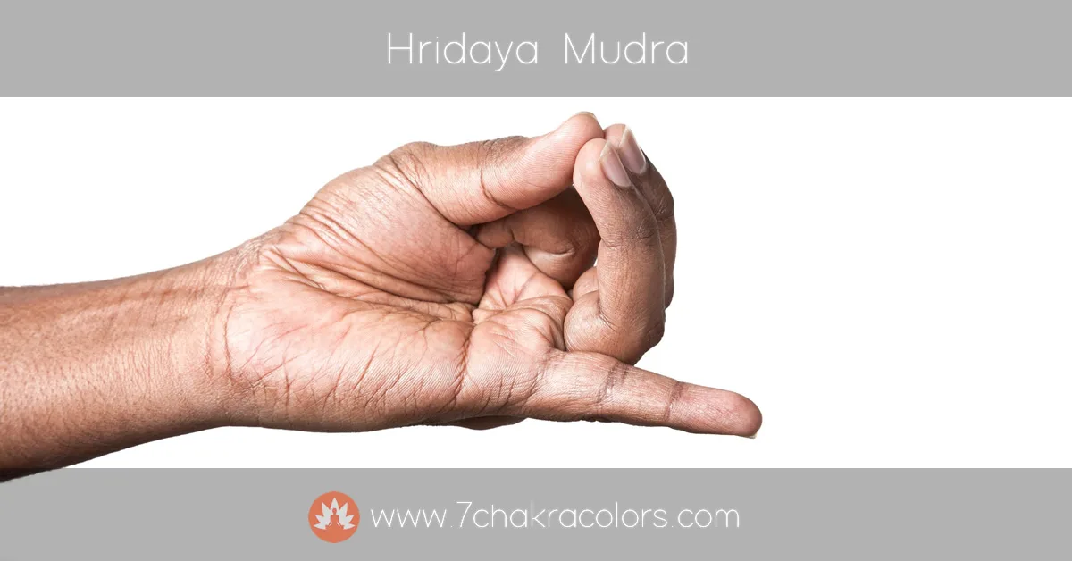 image of hand performing hridaya mudra hand pose - instructional image - featured canvas image