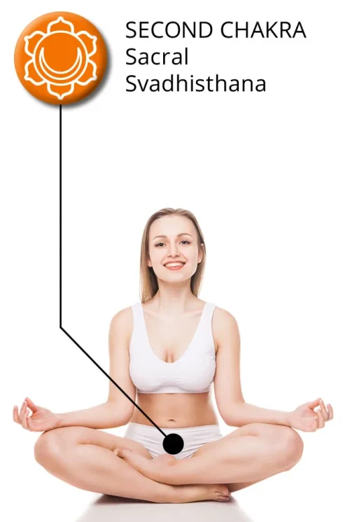 diagram showing a woman sitting in lotus pose with indication of the location of sacral chakra