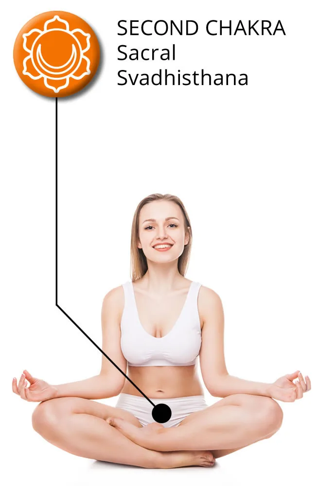 diagram showing a woman sitting in lotus pose with indication of the location of sacral chakra