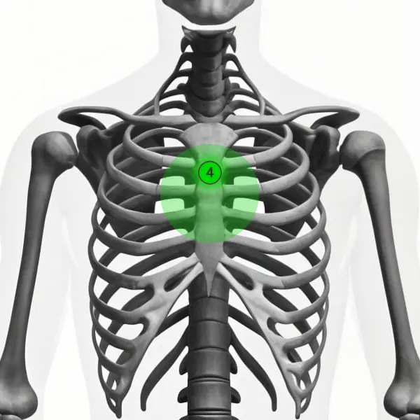 heart-chakra-point-location