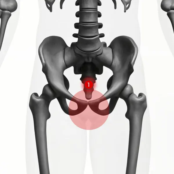 root-chakra-point-location