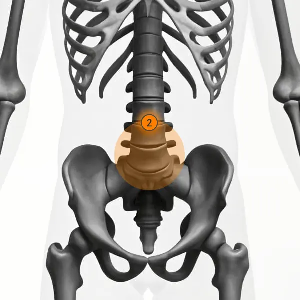 sacral-chakra-point-location