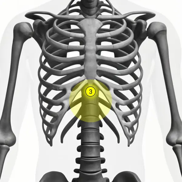 solar-plexus-chakra-point-location